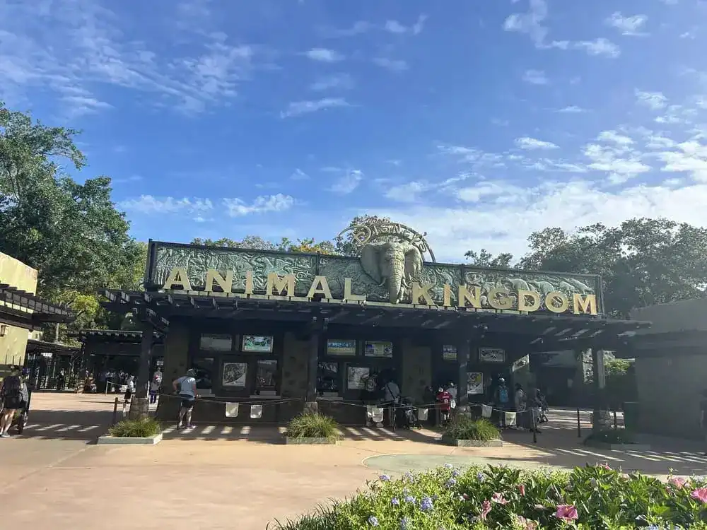 Animal Kingdom, Disney World