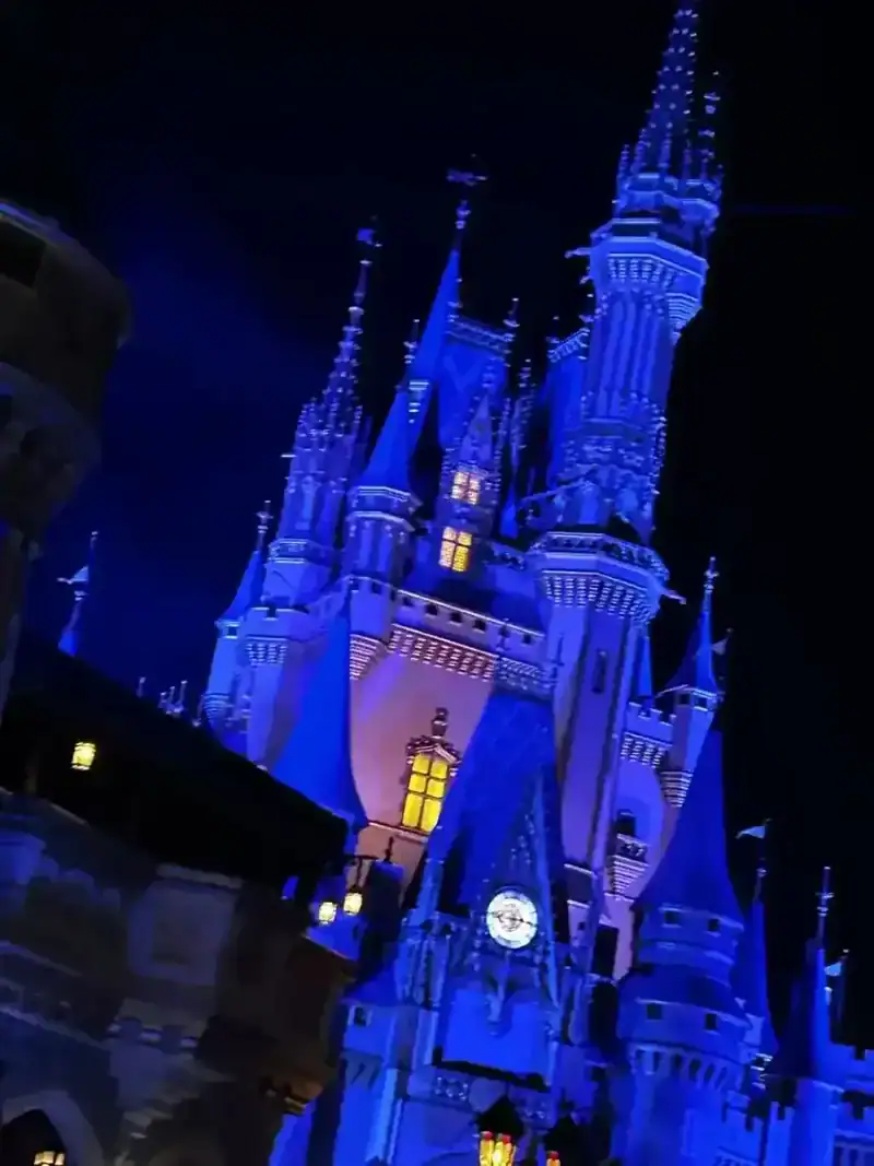 Magic Kingdom castle at night which can be enjoyed on a budget by using points and cash back apps.