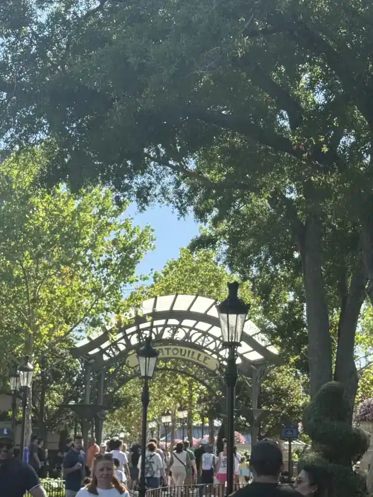 Remy's ride at France, Epcot 