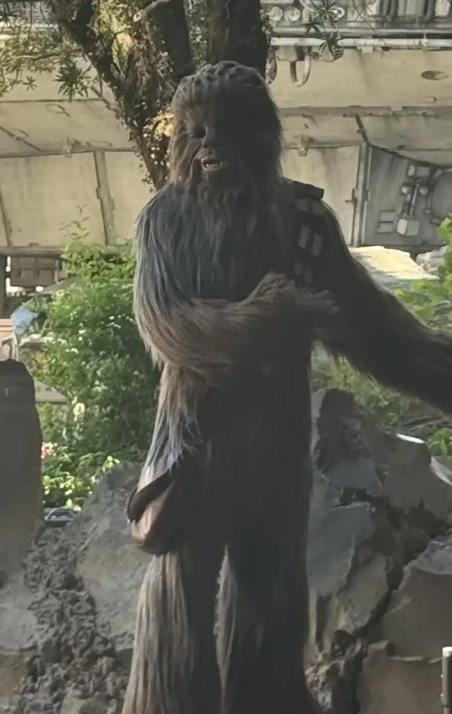 Chewbacca at Galaxy's Edge, Disney World