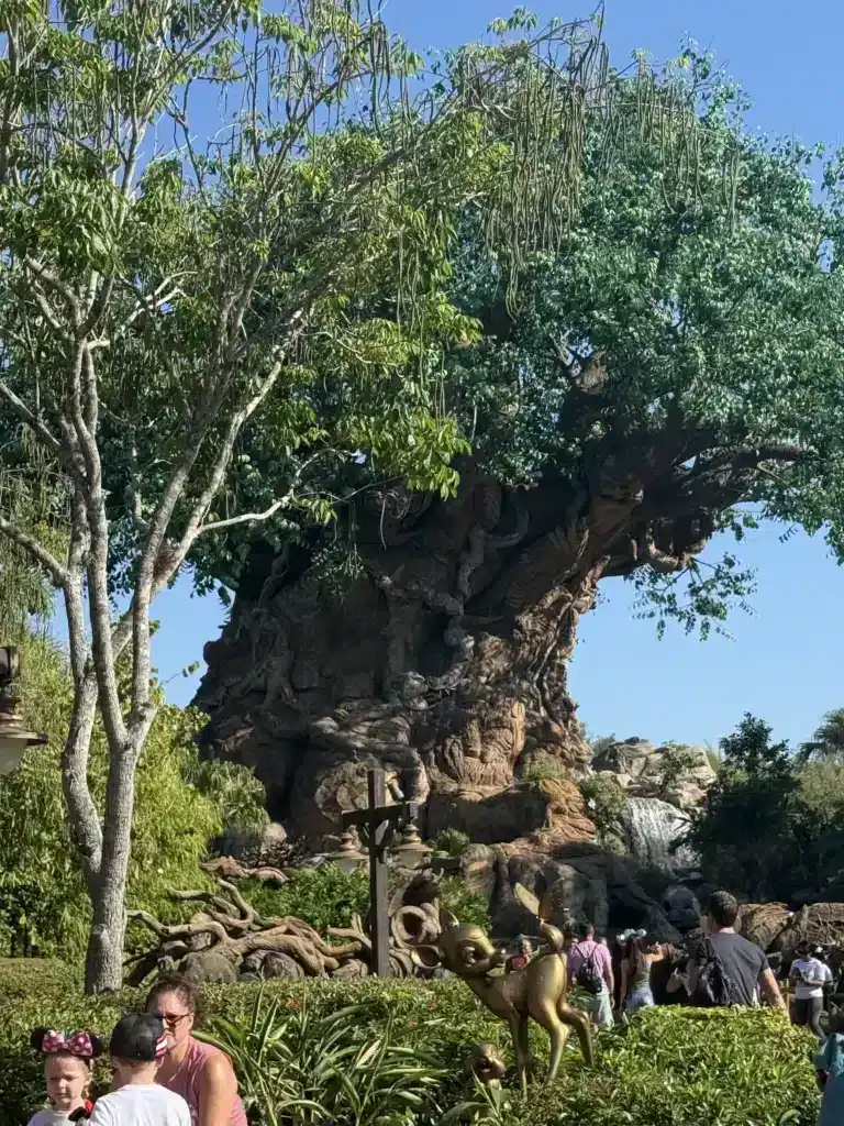 Tree of Life at Animal Kingdom