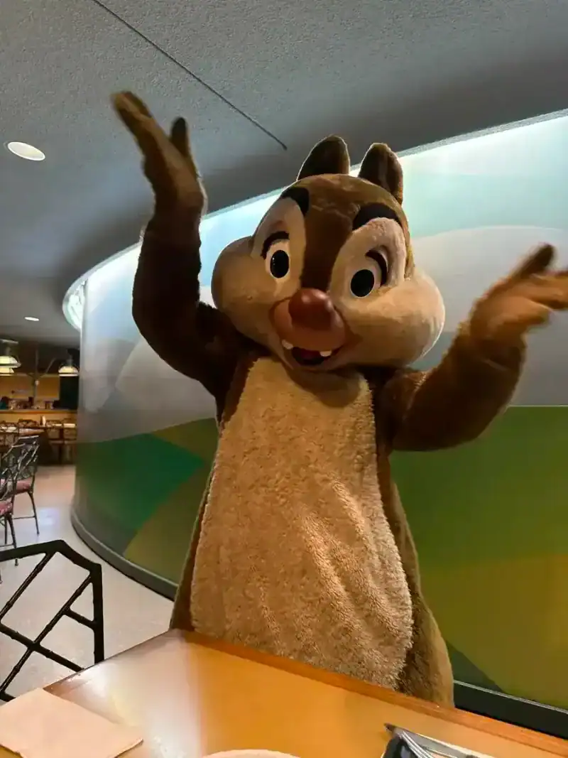 Chip and Dale at Garden Grill in Epcot, which can be enjoyed on a budget Disney World vacation using points and cashback.