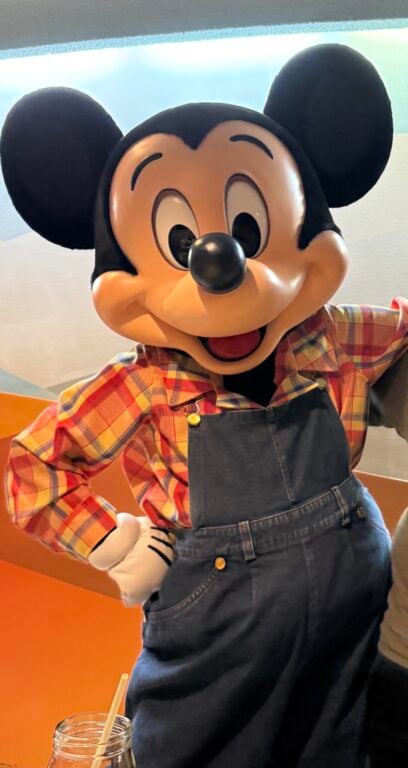 Mickey at Garden Grill, Epcot 