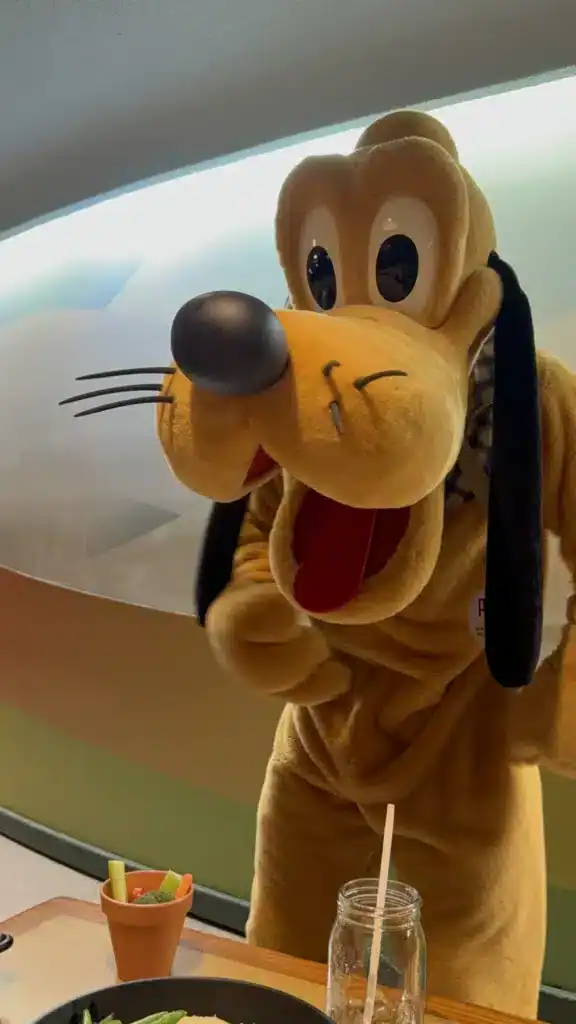 Pluto at Garden Grill, Epcot