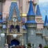 Best Marriott Hotels Near Disney World You Can Book with Points