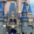 How We’re Doing Disney World on a Budget: $1,800 Total for a Family of 4