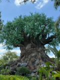 How to Use Hyatt Points for Disney World | Free Nights & Tips