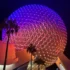Caring for Giants Tour Review | Up Close with Elephants at Animal Kingdom